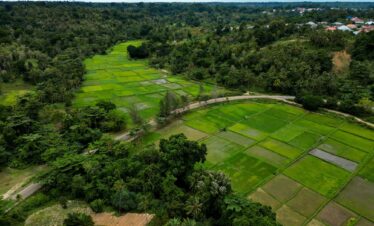 Spice & Clove Farm Experience